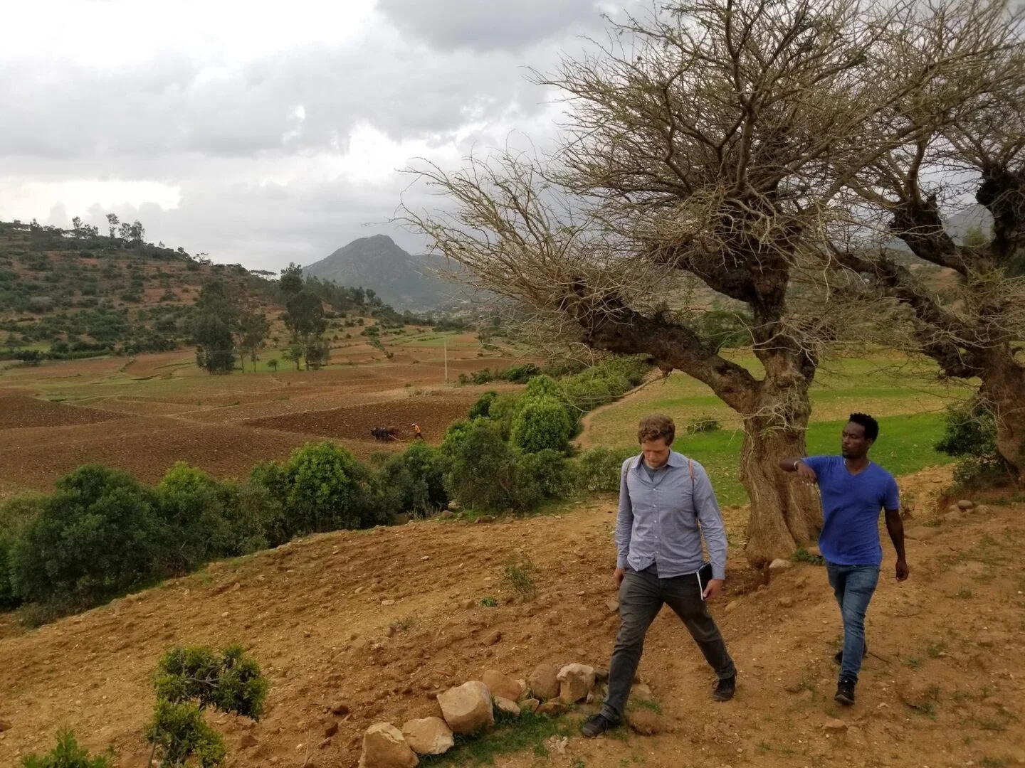 Dr. Alex McAlvay walking with translator Zeray Romha Sebhatleab to farmers fields in Northern Ethiopia while carrying out interviews about traditional grain mixtures. (Photo Courtesy Alex McAlvay)
