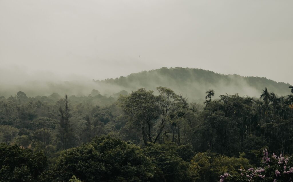 Photo by Ganesh Partheeban